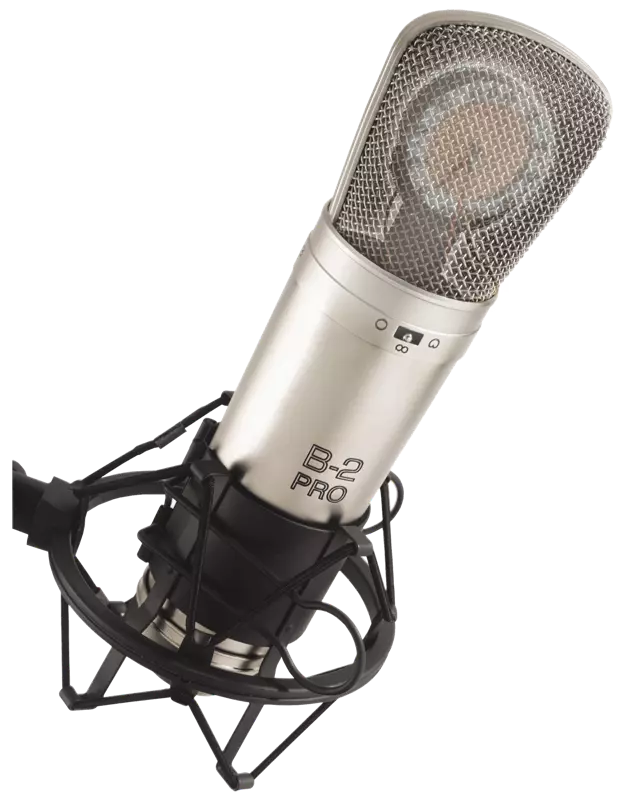 Dual Diaphragm Condenser Microphone